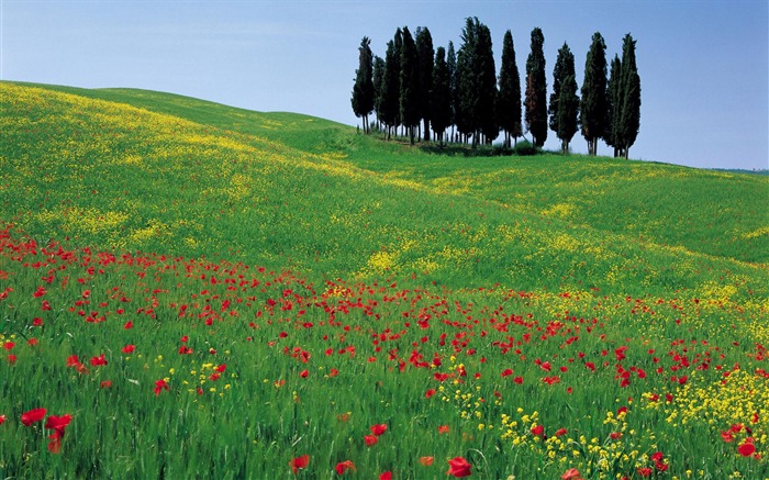 Italienische Landschaft Wallpaper (1) #19