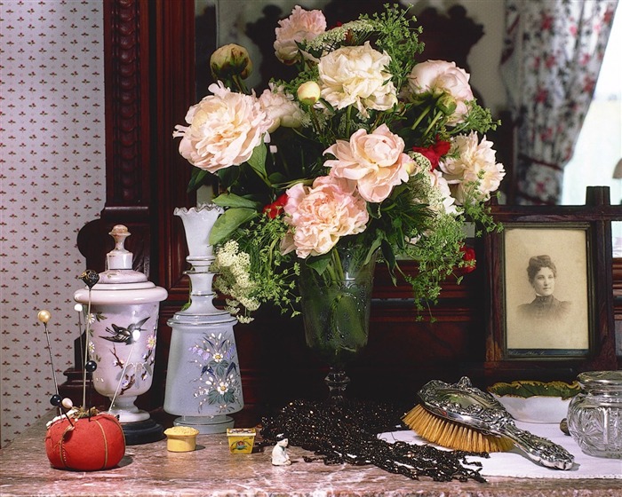 Cubierta de flores fondos de escritorio (5) #19