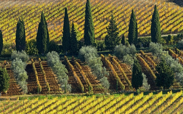 Italienische Landschaft Wallpaper (2) #17