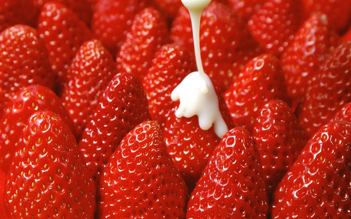 HD Wallpaper frischen Erdbeeren #16