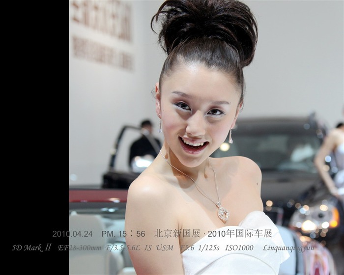 2010-4-24 Beijing International Auto Show (Linquan Qing Yun works) #2