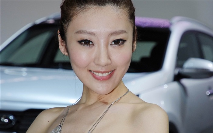 2010北京国際自動車ショーの美しさ（鉄筋の作品） #24