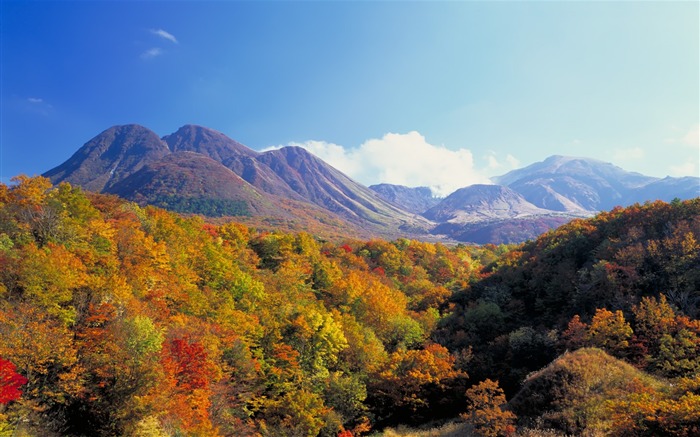 fondos de pantalla panorámica del paisaje japonés #8