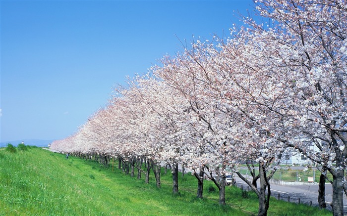 fondos de pantalla panorámica del paisaje japonés #10