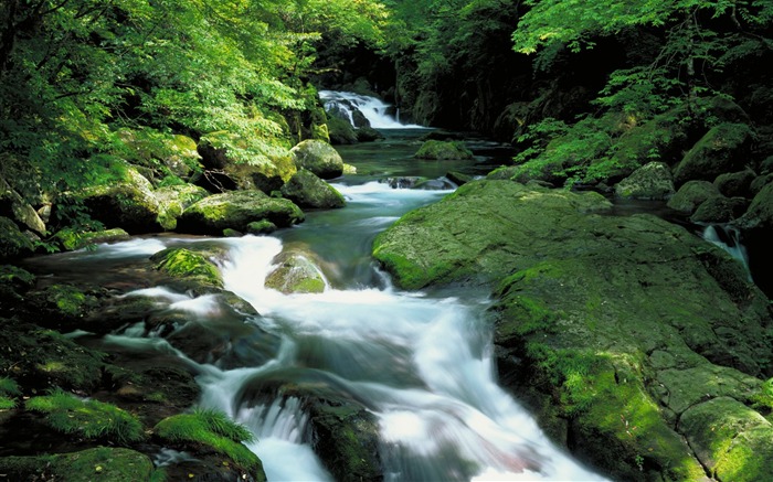 fondos de pantalla panorámica del paisaje japonés #14