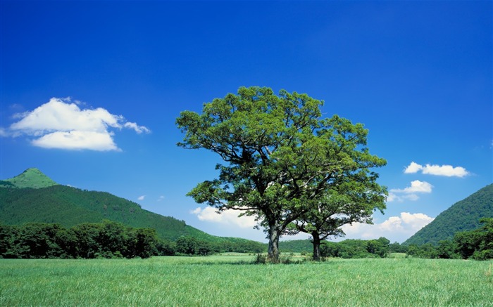 fondos de pantalla panorámica del paisaje japonés #18