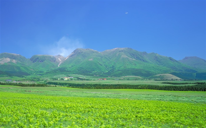 美丽如画 日本风景宽屏壁纸19