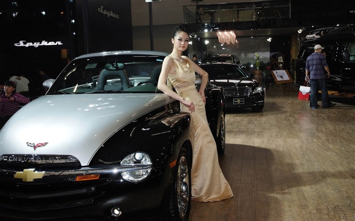 2010 Beijing International Auto Show Heung Che beauty (rebar works) #14