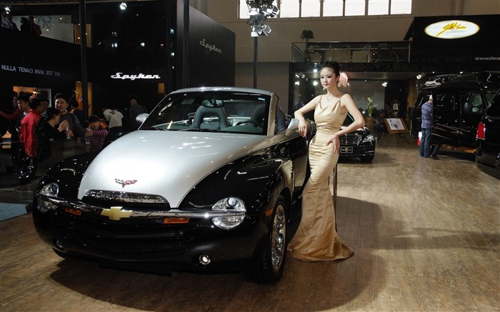 2010 Beijing International Auto Show Heung Che beauty (rebar works) #15