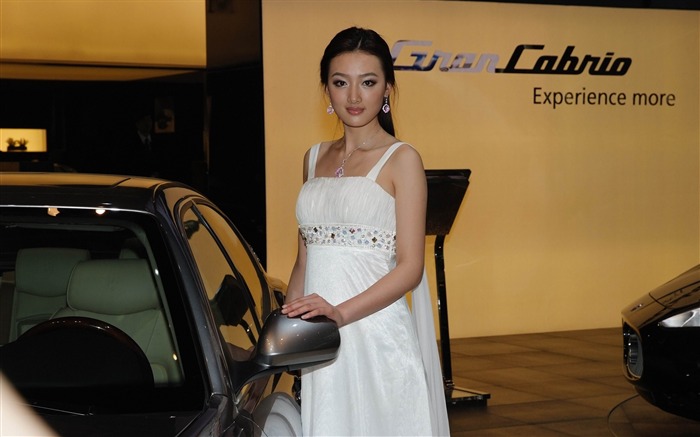 2010 Beijing International Auto Show Heung Che beauté (œuvres des barres d'armature) #19