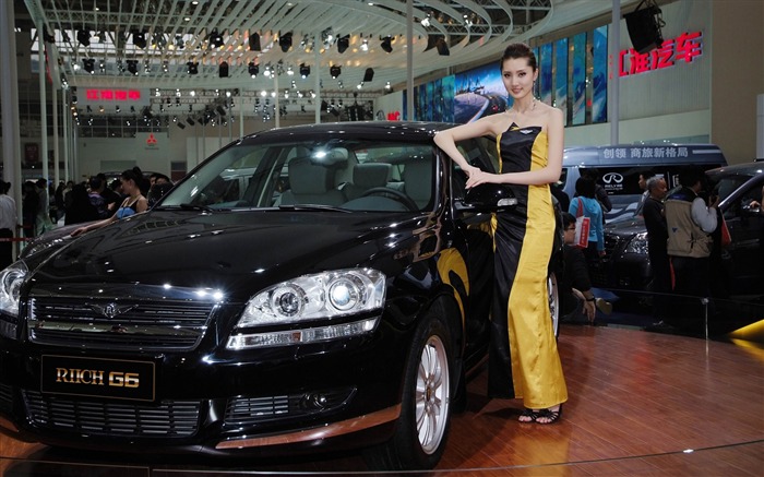 2010 Beijing International Auto Show Heung Che beauty (rebar works) #20