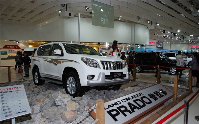 2010 Salón Internacional del Automóvil de Beijing Heung Che belleza (obras barras de refuerzo) #22