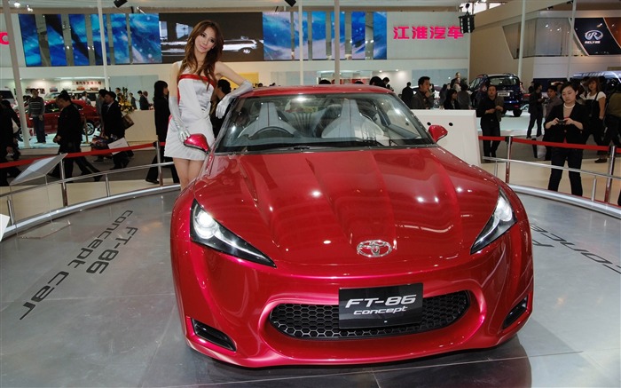 2010 Salón Internacional del Automóvil de Beijing Heung Che belleza (obras barras de refuerzo) #23