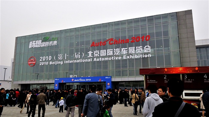 2010 Salon de l'auto de Beijing pour voir (boue collée œuvres King) #5