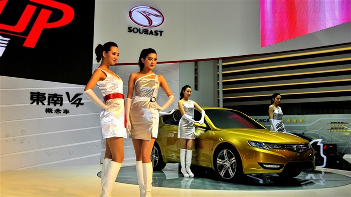 2010 Beijing Auto Show zu sehen (Schlamm stecken King Werke) #17