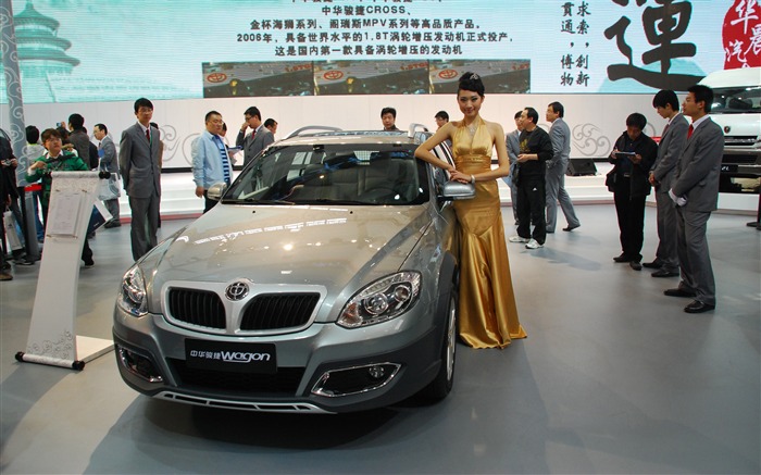 2010 Beijing International Auto Show (1) (z321x123 works) #18