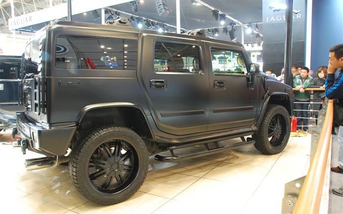 2010 Beijing International Auto Show (1) (z321x123 works) #23