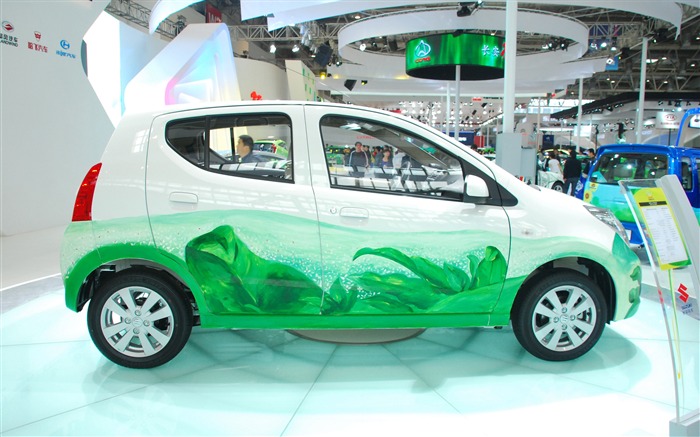 2010 v Pekingu mezinárodní automobilové výstavy (1) (z321x123 práce) #36