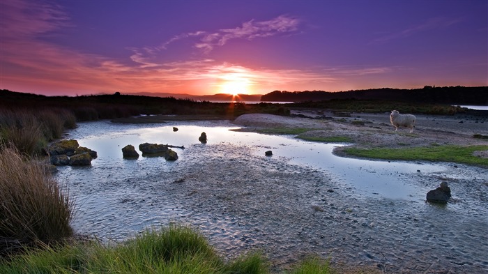 Fonds d'écran Nature HD #12