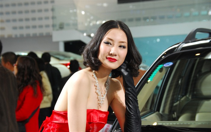 2010 Beijing International Auto Show (2) (z321x123 works) #10