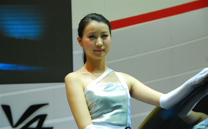 2010 v Pekingu mezinárodní automobilové výstavy (2) (z321x123 práce) #23