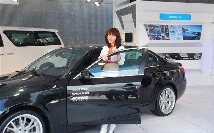 2010 Beijing International Auto Show (2) (z321x123 works) #35