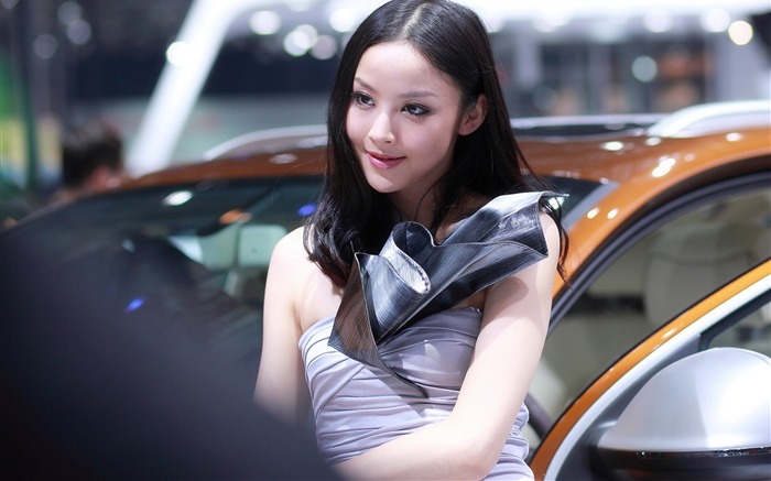 2010 Beijing Auto Show destacados Modelo (Sur de obras del Parque) #17