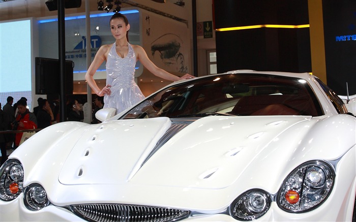 2010 Beijing International Auto Show (going round in the sugar works) #7