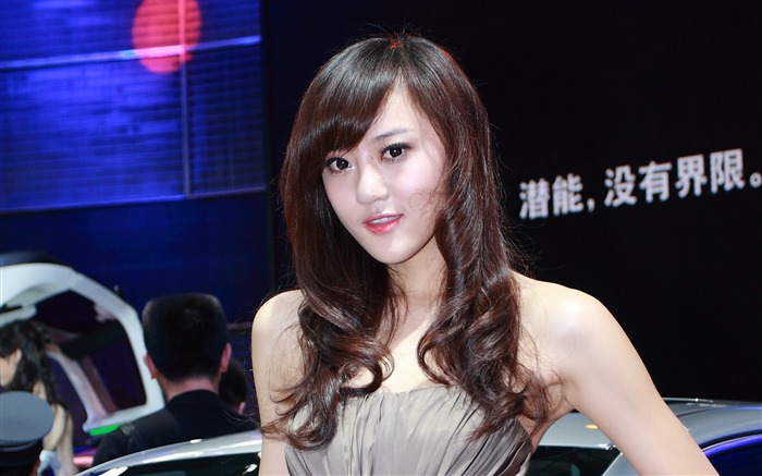 2010 Beijing International Auto Show (going round in the sugar works) #9