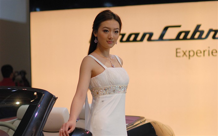 2010 Beijing International Auto Show (mcwang007 Werke) #5
