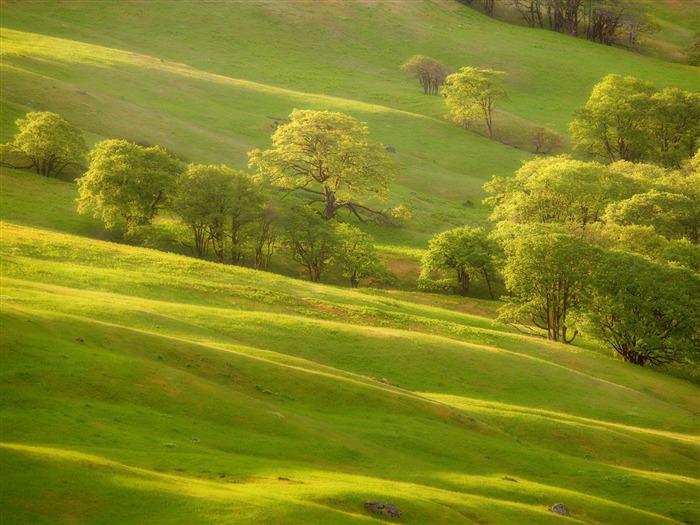 Webshots Fondos de Paisajes (17) #13