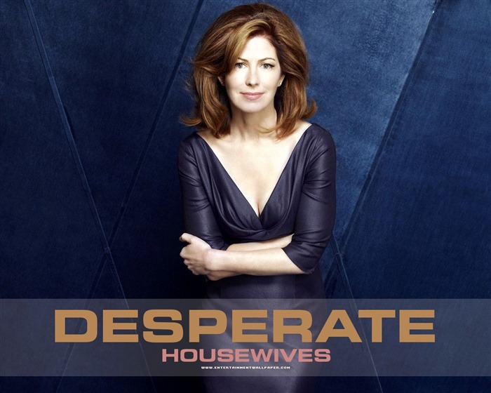 Desperate Housewives 绝望的主妇29