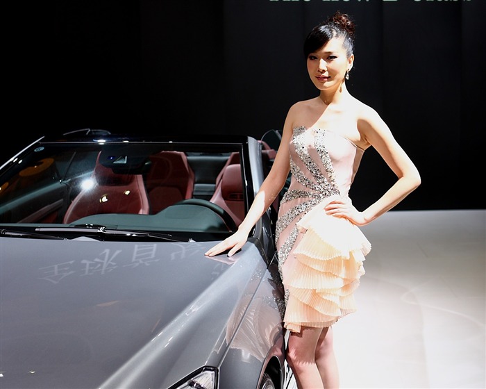 Beijing Auto Show (y funciona ahora) #14