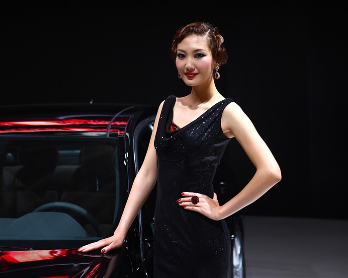 Beijing Auto Show (and far works) #16