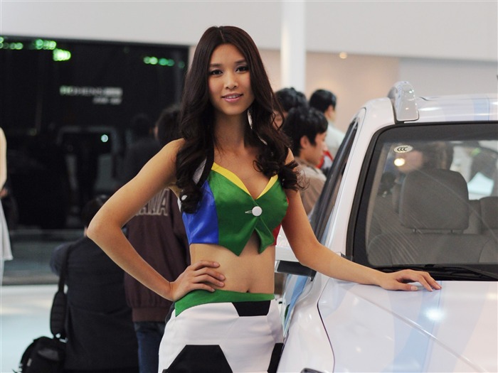 2010 Beijing International Auto Show (bemicoo works) #6