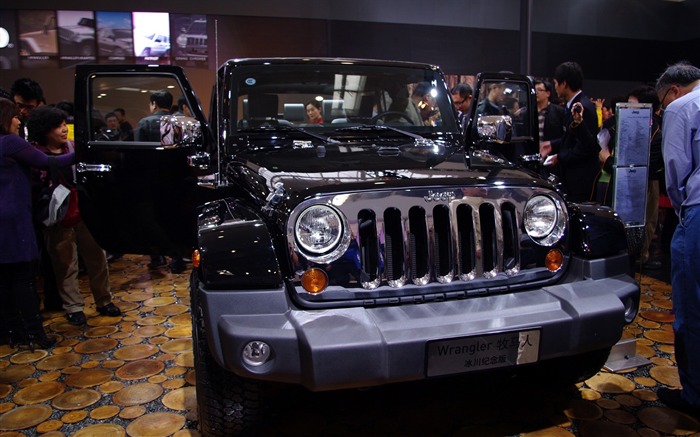 2010 Beijing International Auto Show (Sunshine Beach works) #23