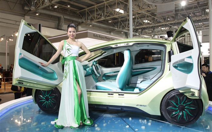 Beijing Auto Show 2010 (1) (conejillo de visitar las obras de Beijing) #5