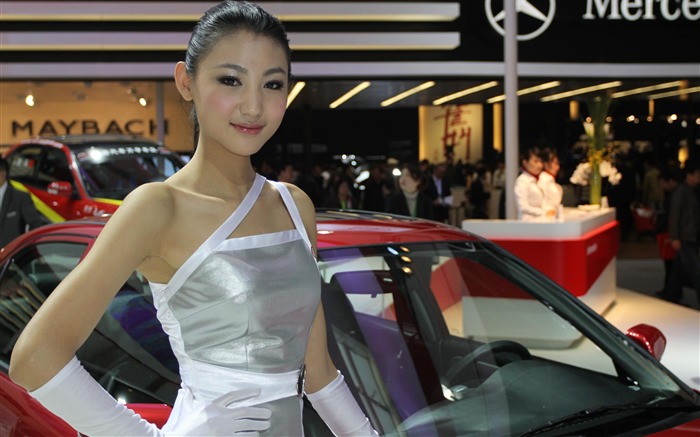 Beijing Auto Show 2010 (1) (conejillo de visitar las obras de Beijing) #11