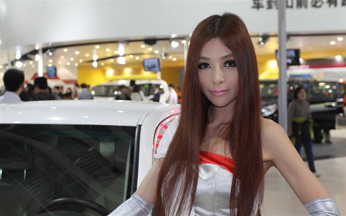 2010 Beijing Auto Show (2) (pig visit Beijing works) #11