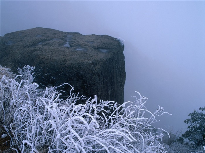 冬天雪景壁紙 #8