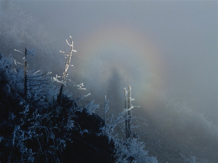冬天雪景壁紙 #14