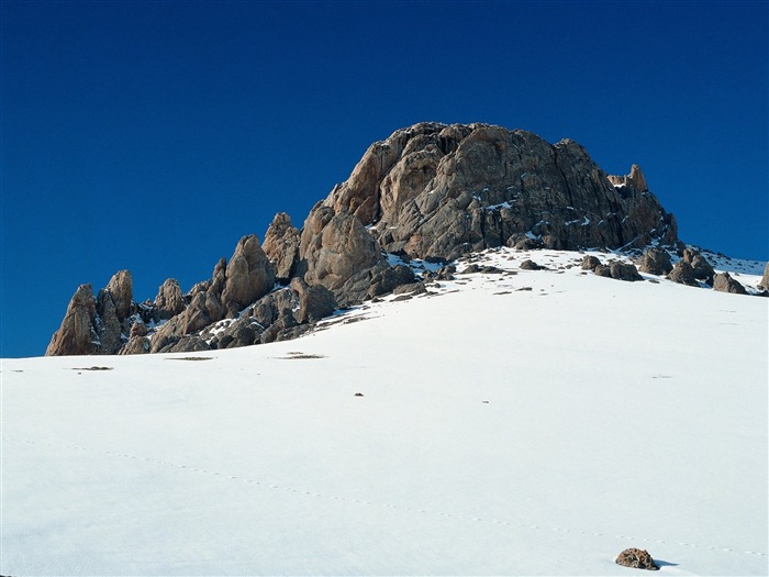 冬天雪景壁纸29