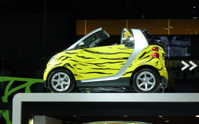 2010 Salón del Automóvil de Pekín (Obras Gemini Sueño) #13