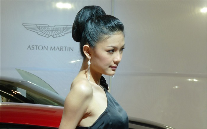 2010 Beijing Auto Show (Gemini Dream Works) #14