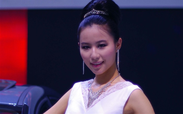 2010 Beijing Auto Show beauty (laogan101 works) #27