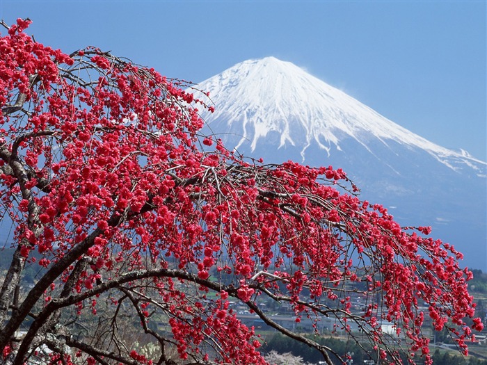 Mount Fuji, Japonsko tapety (1) #1