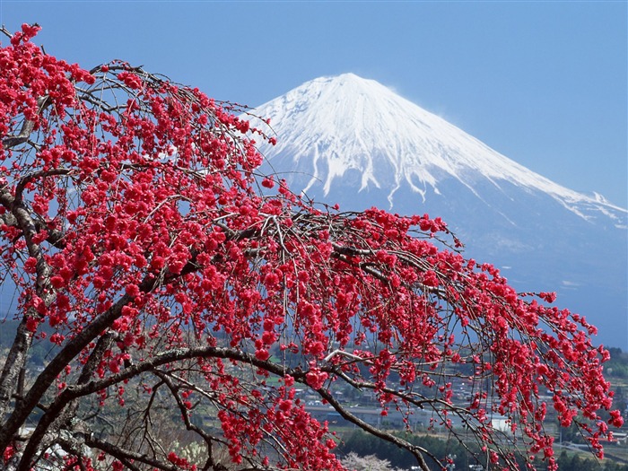 日本富士山 壁紙(一) #1