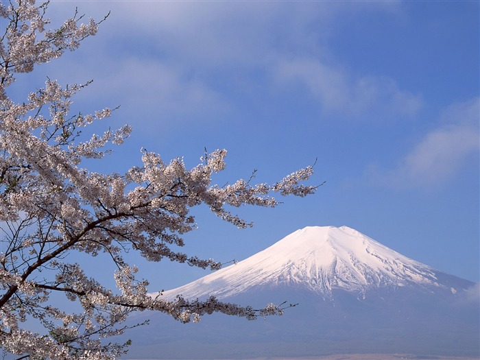 Mont Fuji, papier peint Japon (1) #4