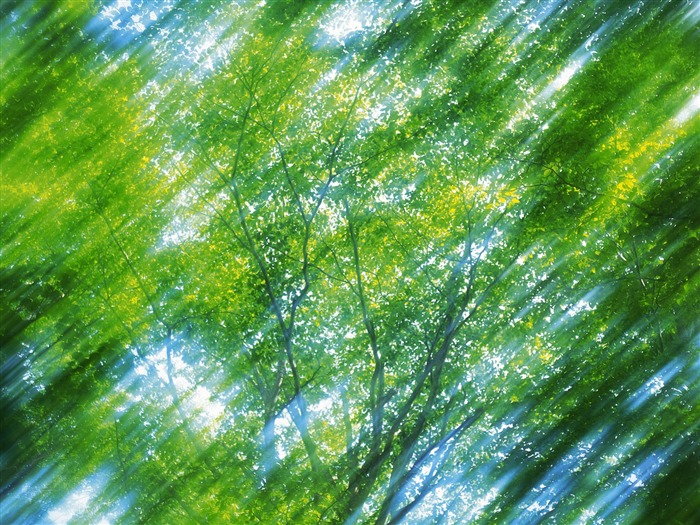 녹색 잎 사진 벽지 (5) #5