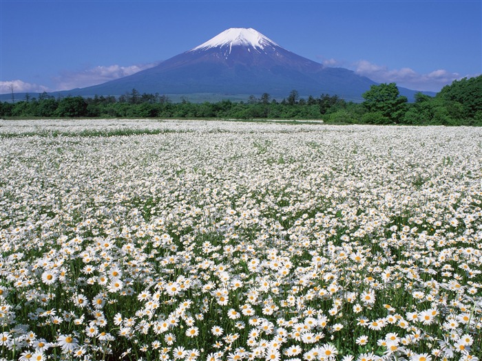 Mount Fuji, Japonsko tapety (2) #15